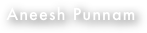 Aneesh Punnam
